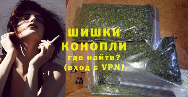 spice Богданович